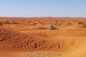 Afrika összes sivatagának neve?